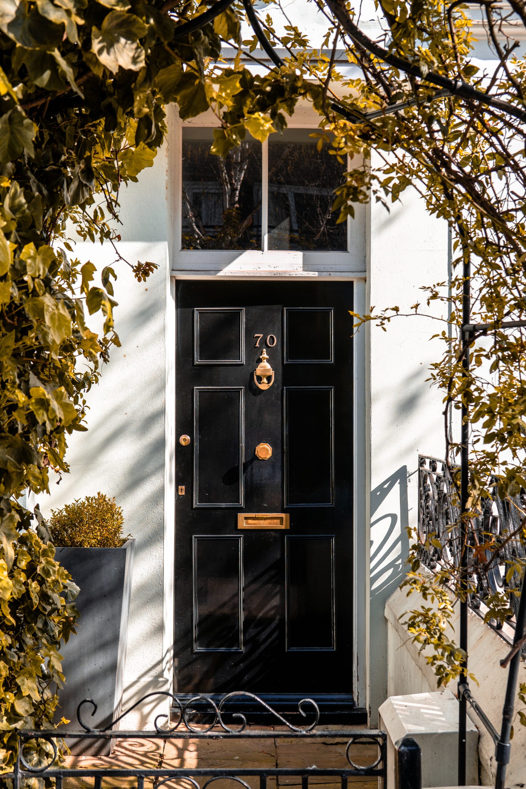 pexels-mitchell-henderson-2058286